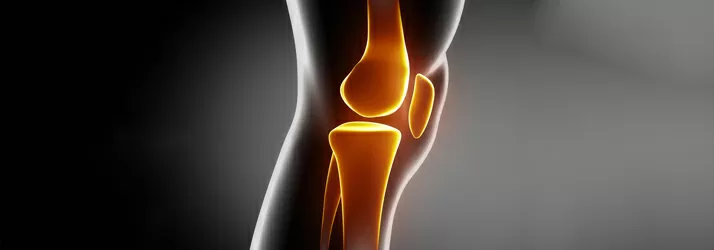 Chiropractic Anchorage AK Knee Joint Illustration